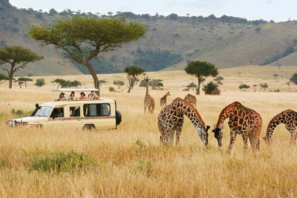 Economy Tanzania safari, Affordable safari packages